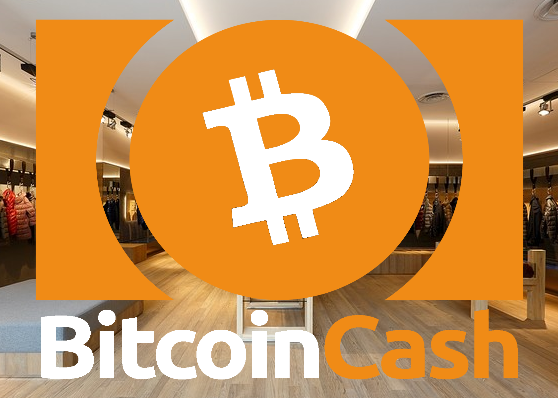 Crypt-currency BCH Bitcoin cash