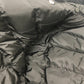 PRADA 29Y510 Triangle logo Short-length apparel outerwear with lamb fur trim. Down jacket Nylon Black Used