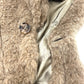 MAX MARA 25247361826 ペタロ テディベア ケープ アパレル アウター フード付 アパレル ポンチョ アルパカ レディース ブラウン