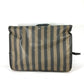 FENDI Garment Bag, Pecan Travel Bag, PVC Travel Case, Women's, Brown
