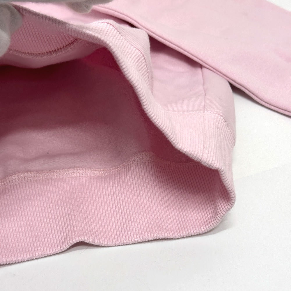 Dior 113J698A0531 CD Logo Pullover Apparel Hoodie Cotton Men's Pink