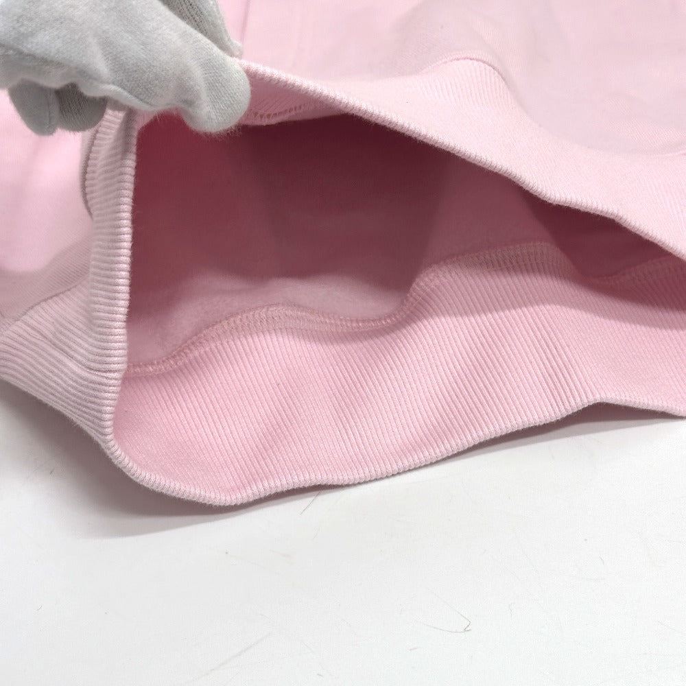 Dior 113J698A0531 CD Logo Pullover Apparel Hoodie Cotton Men's Pink