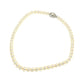 TASAKI Akoya Pearl 7.0mm 40cm Necklace, White, for Women