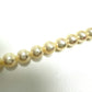 TASAKI Akoya Pearl 7.0mm 40cm Necklace, White, for Women