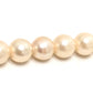 jewelry パール 6.5mm～7mm アクセサリー 真珠 ネックレス パール レディース ホワイト