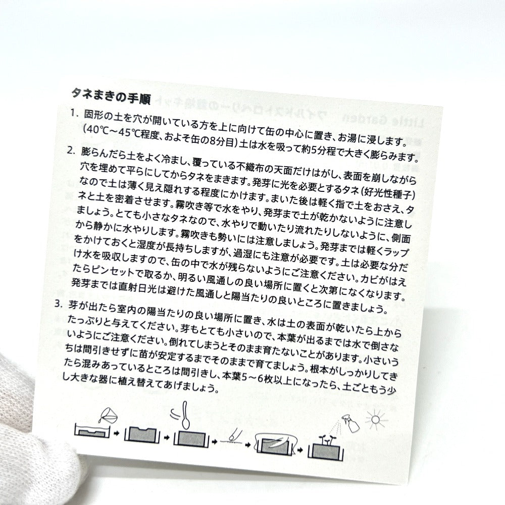 familia Wild Strawberry Cultivation Kit Mini plants, plants, cans, Mirai Department Store Miscellaneous goods Used