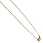 CARTIER Diamond Diamond Léger Heart Necklace in 18K Gold. Accessory Jewelry Chain Necklace. Au750 Gold. Women's.