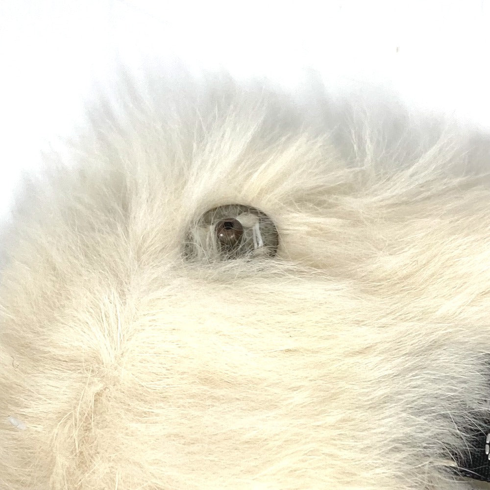 CHANEL ヴィンテージ CC ココマーク ロゴ ファー ラビット アクセサリー バングル ブレスレット ファー ユニセックス ブラック