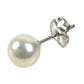 TASAKI K14 金 14K パール アクセサリー ジュエリー ピアス K14WG レディース シルバー