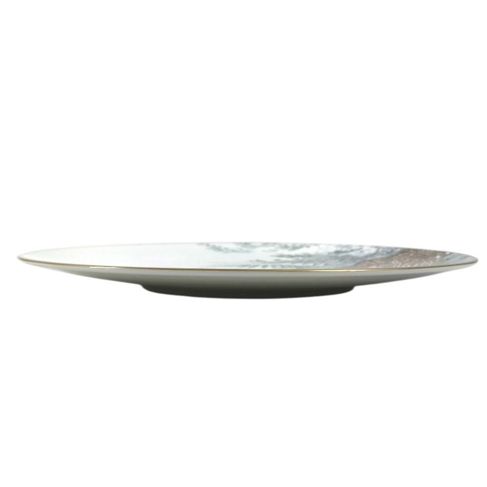 HERMES P038001P Jaguar Tiger Dinner Plate Sketch of the area directly below the equator, 27cm Plates, tableware, dishes The dishes Pottery Multicolore Used