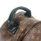 LOUIS VUITTON M44874 モノグラム パームスプリングス バックパック MM カバン リュックサック モノグラムキャンバス ユニセックス ブラウン - brandshop-reference