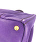 PRADA Logo Canapa Bag Tote Bag Handbag Canvas Unisex Purple
