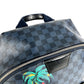 LOUIS VUITTON N50003 Damier Cobalt Jungle Apollo Backpack, Unisex, Navy, Damier Cobalt Canvas
