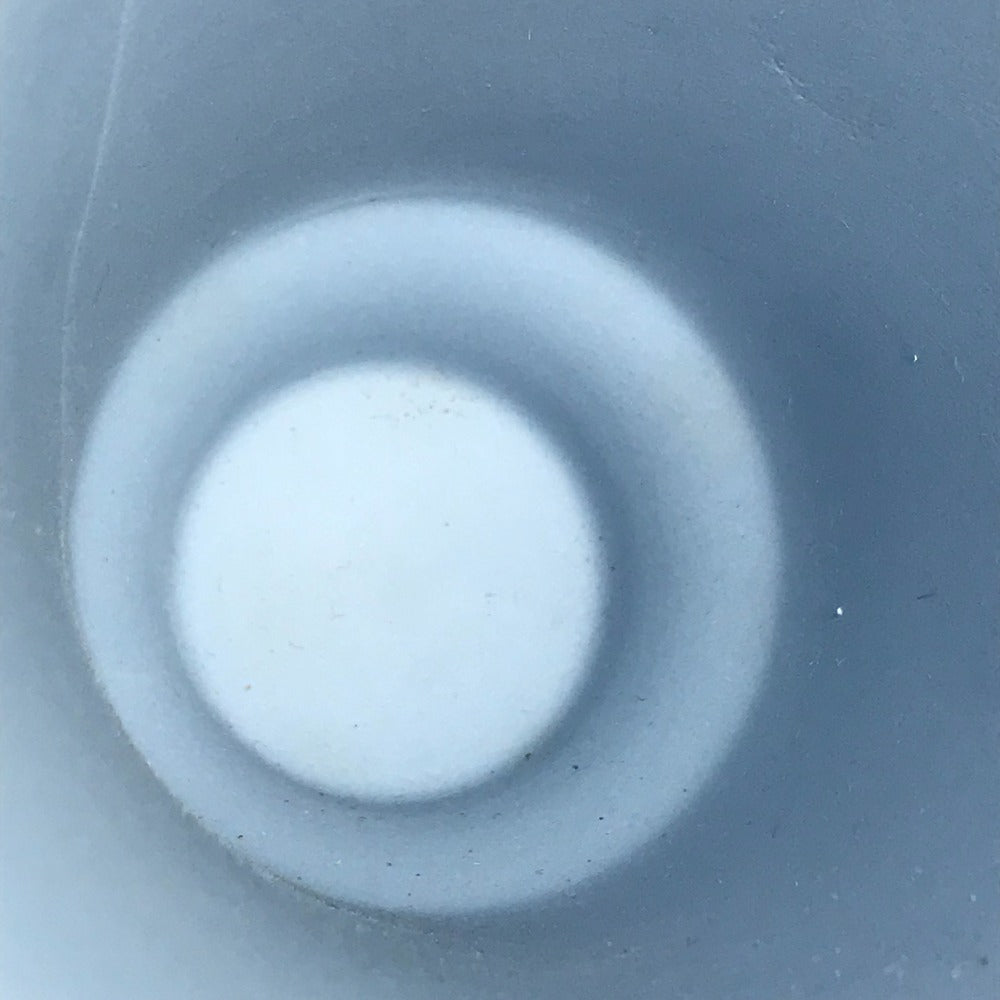 WEDGWOOD logo Flower-based interior vase Pottery Pale blue blue/White Used