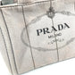 PRADA Kanapa Logo 2WAY Bag Shoulder Bag Crossbody Tote Bag Handbag Canvas Women's Gray